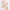 Aktionsbanner
